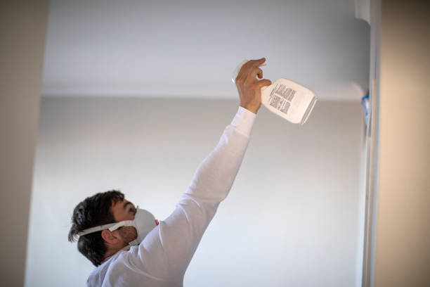 Best Mold Testing  in Forest Lake, MN