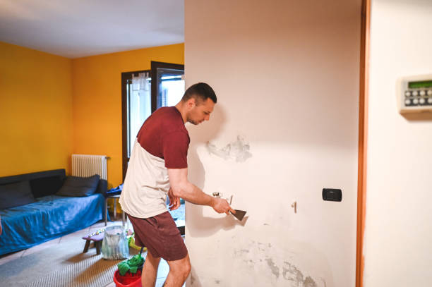 Best Certified Mold Removal  in Forest Lake, MN